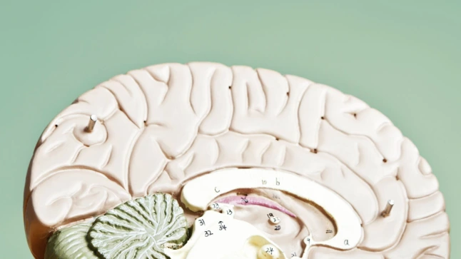 Behavioral Finance erklärt: Warum Anleger oft gegen ihre eigenen Interessen handeln